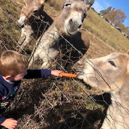 Blackbrook Farm Underberg Luaran gambar
