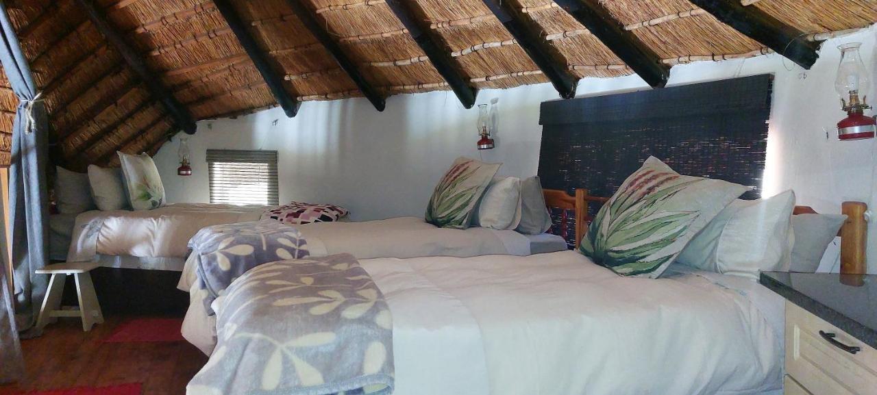 Blackbrook Farm Underberg Luaran gambar