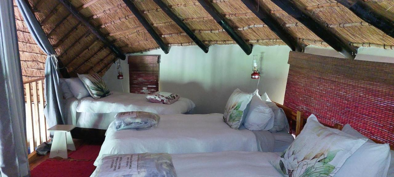 Blackbrook Farm Underberg Luaran gambar