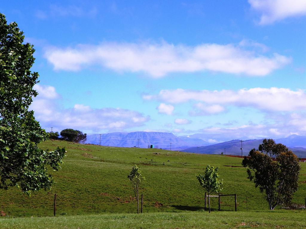 Blackbrook Farm Underberg Luaran gambar